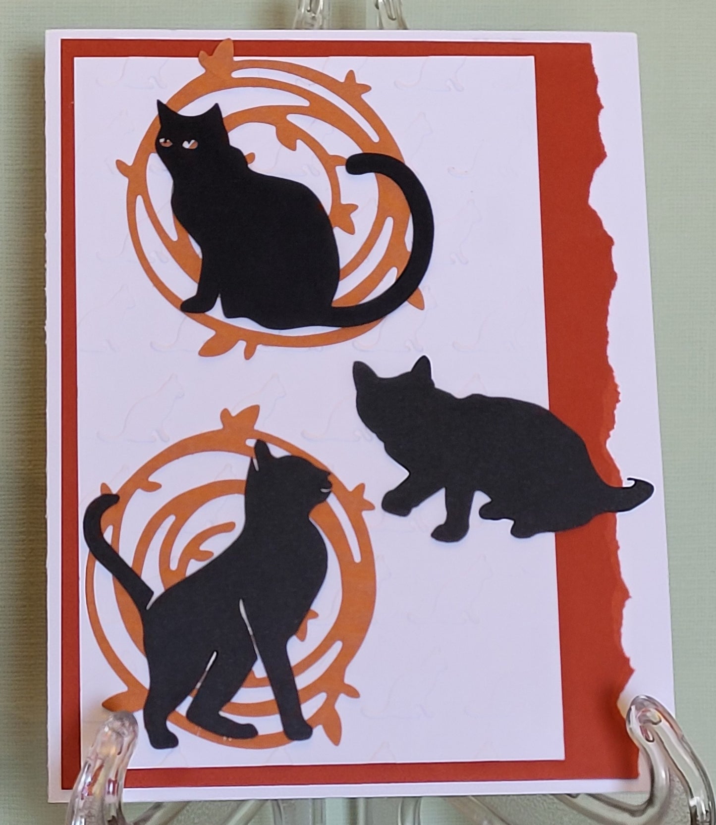 Blank-cat
