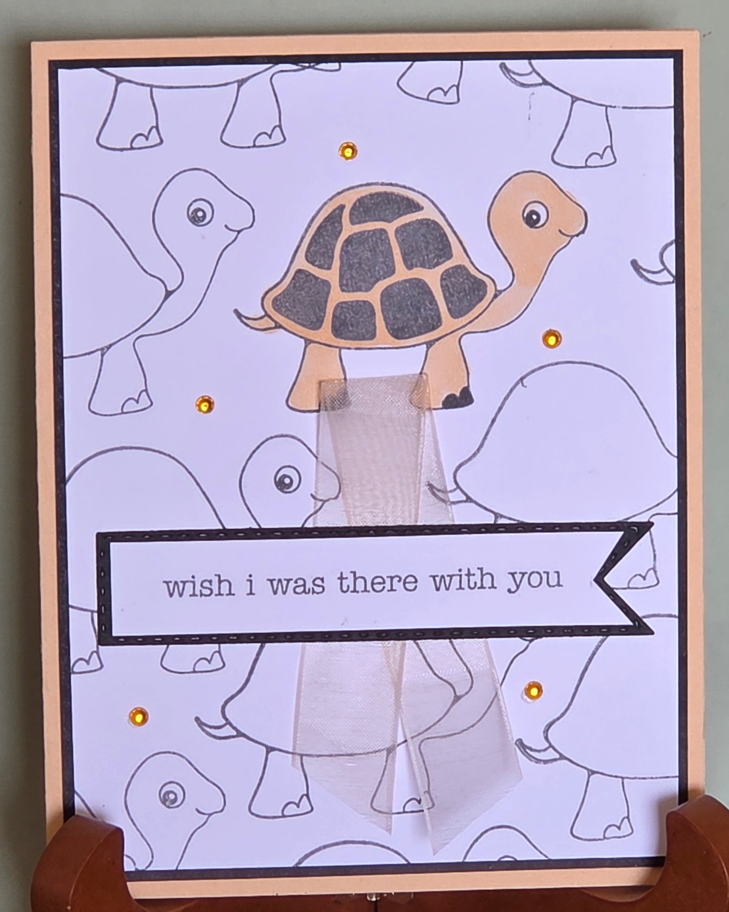 Misc-turtle