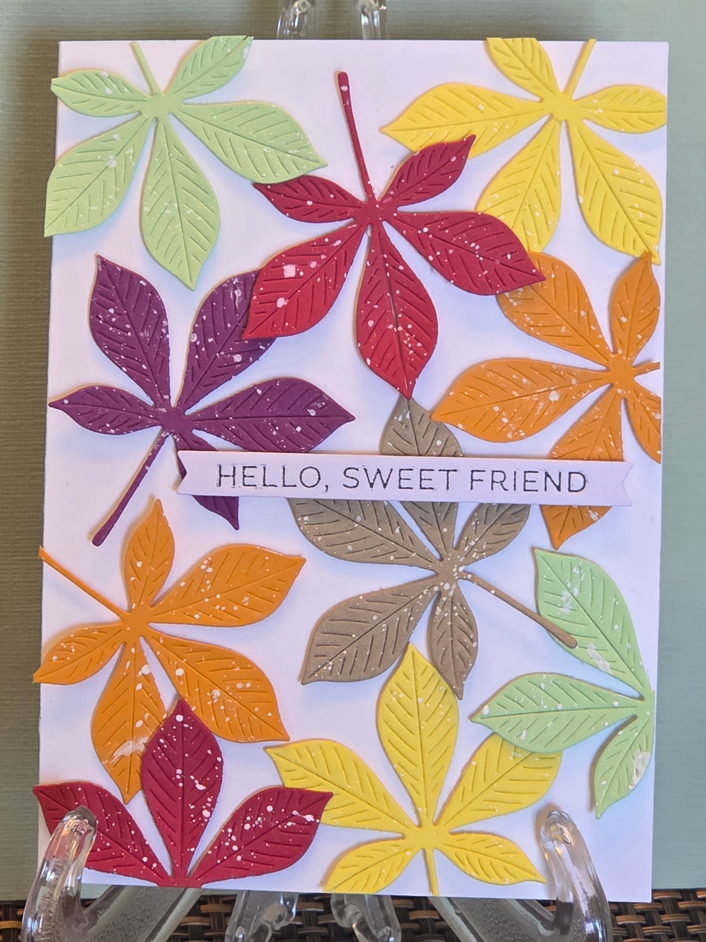 Hello, sweet friend.
