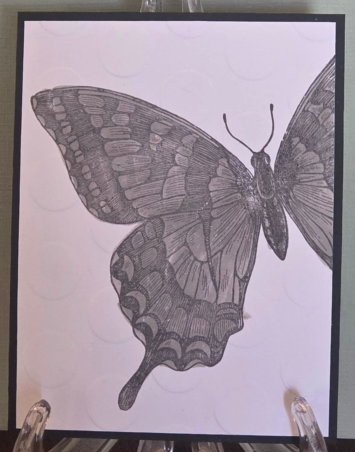 Blank-butterfly