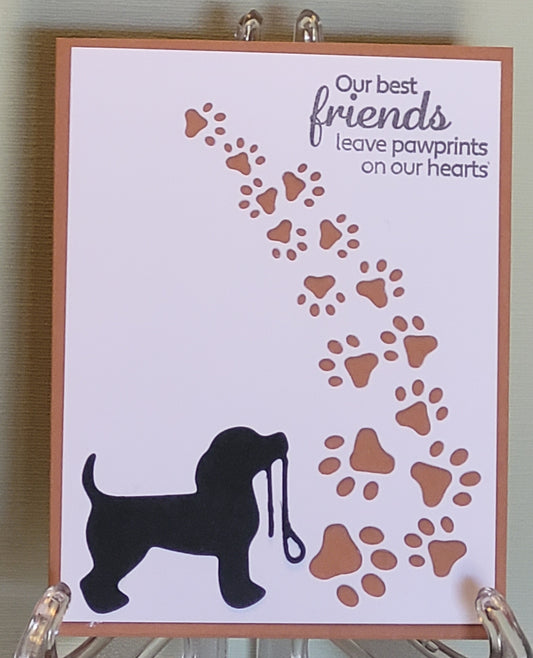 Pet Sympathy