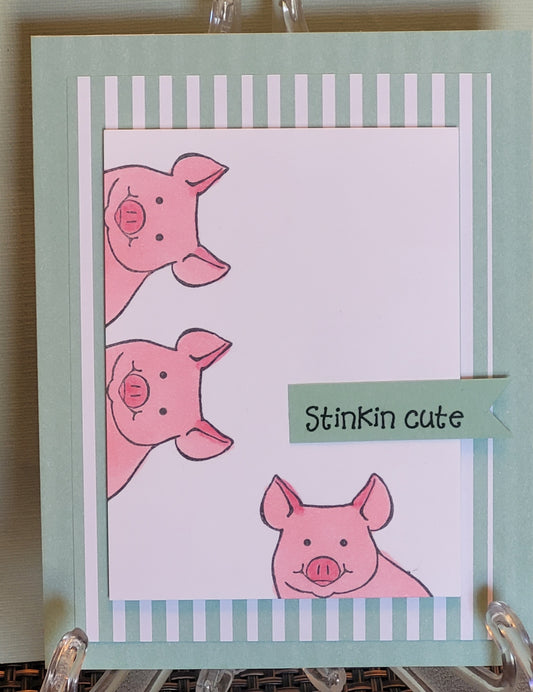 Misc-Stinkin cute-pigs