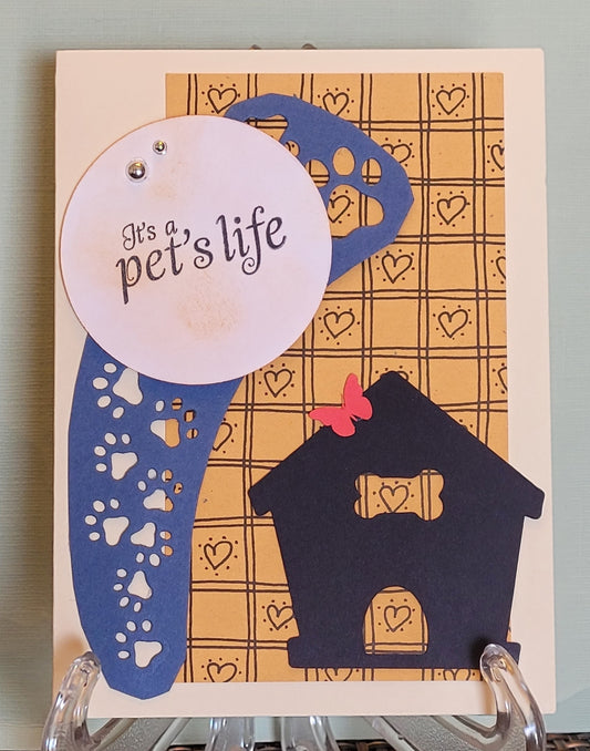 Pet
