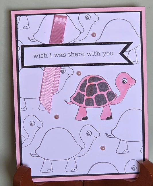 Misc-turtle