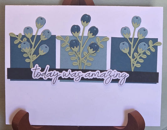 Misc- today was amazing